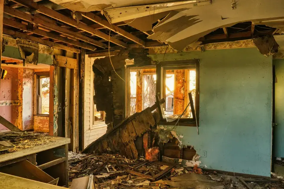 El Monte’s Trusted Local Mold & Environmental Specialists — El Monte, CA